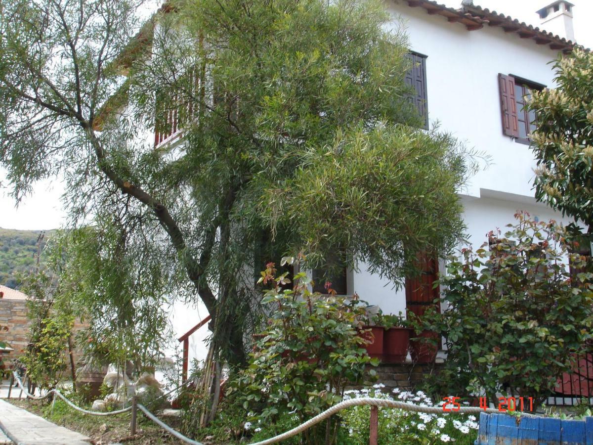 Apartamento Dina Studio *